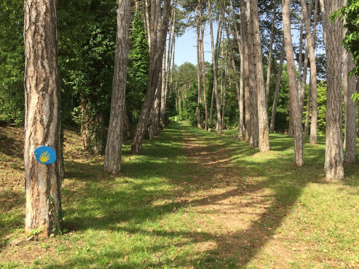 Les Hauts De Fixin, 50M2 Avec Exterieur Sur La Route Des Grands Crus, Dijon Sud Buitenkant foto