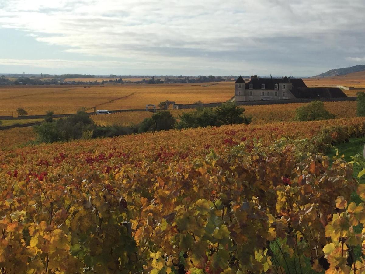 Les Hauts De Fixin, 50M2 Avec Exterieur Sur La Route Des Grands Crus, Dijon Sud Buitenkant foto